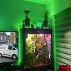 Osb terrarium RepHouSZ. Ook maatwerk, Dieren en Toebehoren, Reptielen en Amfibieën | Toebehoren, Ophalen, Nieuw, Terrarium of Paludarium