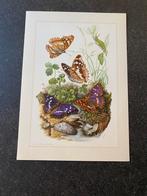 10 prenten insekten vlinders 19x27 samen 22,50 pagevlinder, Antiek en Kunst, Antiek | Schoolplaten, Ophalen of Verzenden, Natuur en Biologie