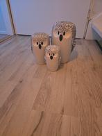 Uiltjes van Riverdale, Ophalen, Zo goed als nieuw, Glas, Minder dan 50 cm