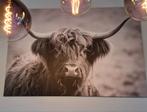 Canvas Schilderij Schotse Hooglander 180x120cm, Huis en Inrichting, Woonaccessoires | Schilderijen, Tekeningen en Foto's, Ophalen