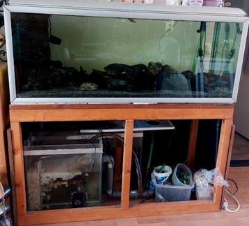 Aquarium beschikbaar voor biedingen