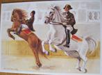 voor het kind - hogeschool paardrijden - 1980, Verzamelen, Ansichtkaarten | Themakaarten, Verzenden, 1960 tot 1980, Ongelopen
