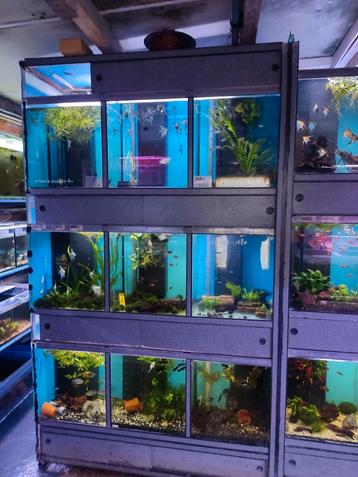 2 aquarium stellingen  beschikbaar voor biedingen