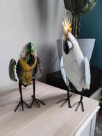 Decoratieve papegaai en kaketoe, Ophalen, Zo goed als nieuw