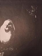 Litho Kat Loert op Kat, Ophalen of Verzenden