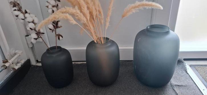 3 mooie vasen van fonQ. Zsm ophalen, Huis en Inrichting, Woonaccessoires | Vazen, Zo goed als nieuw, Overige kleuren, Minder dan 50 cm