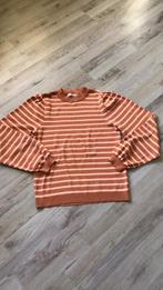 Studio Anneloes trui maat xl nieuw, Maat 46/48 (XL) of groter, Nieuw, Ophalen of Verzenden, Overige kleuren