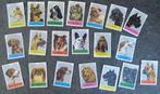 20x lucifermerken van HONDENRASSEN honden (No12), Gebruikt, Ophalen of Verzenden, Luciferdoosjes of -merken