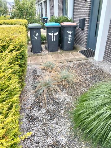Tuin aanleggen GEVRAAGD  beschikbaar voor biedingen