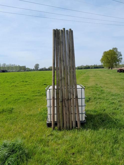 Nette gebruikte palen 300x8. Meerdere aanwezig als op foto, Tuin en Terras, Palen, Balken en Planken, Zo goed als nieuw, Palen