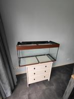 Glazen bak voor een dwerghamster; kan bezorgen evt., Gebruikt, Overige typen, Hamster, 75 tot 110 cm