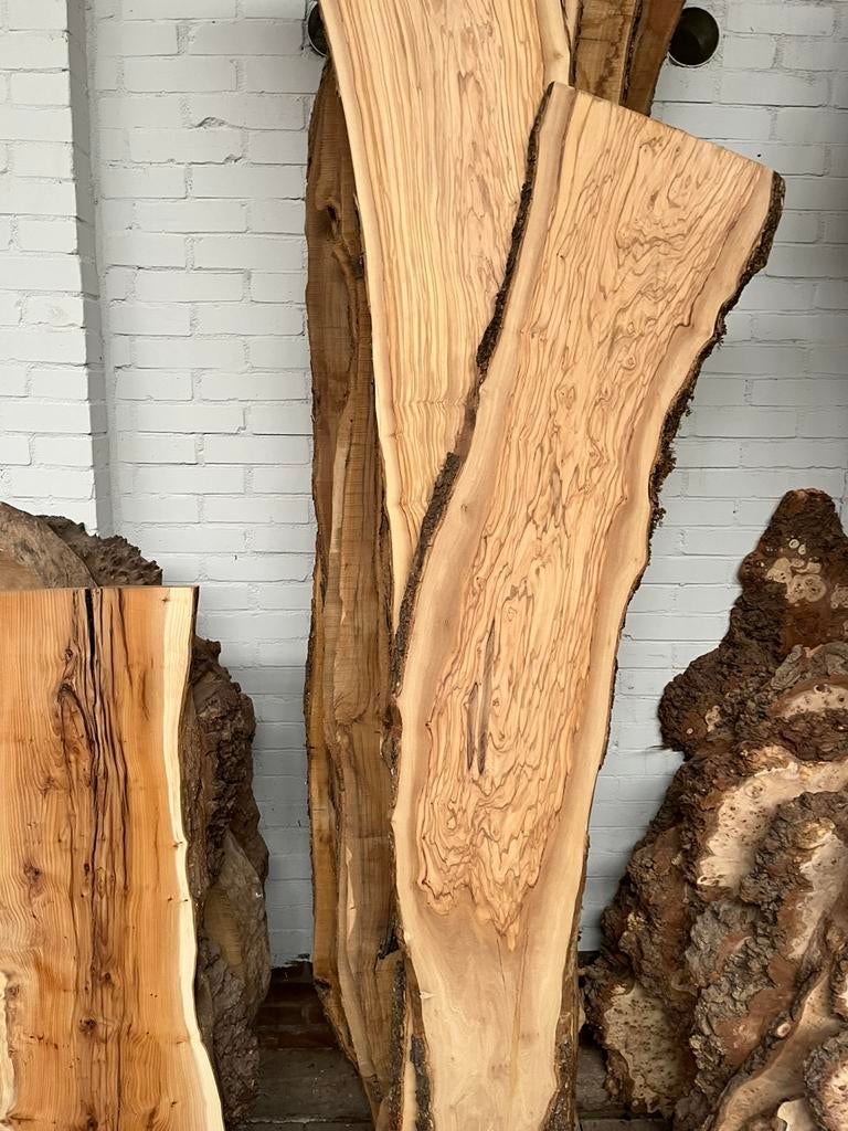 Te Koop olijfhout olivewoods droog in vormen en maten, Ophalen, Nieuw