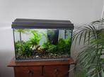 Tetra aquarium 60 liter inclusief inhoud., Dieren en Toebehoren, Vissen | Aquaria en Toebehoren, Ophalen, Gebruikt, Gevuld zoetwateraquarium