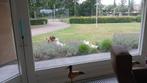 3 Pekingeendjes op zoek naar nieuw huisje, Dieren en Toebehoren, Pluimvee
