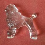 Kosta Boda Bertil Vallien Kennel Serie  Poedel KWADRAAT, Ophalen of Verzenden