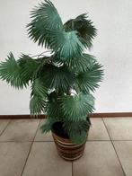 Nep palm kunstpalm in pot, Ophalen, Palm, Halfschaduw, In pot
