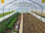 Tunnelkas, KAS, PLANTENKAS, KWALITEIT–B5 m-L tot 60 m, Tuin en Terras, Kassen, Staal, Folie, Verzenden, Kweekkas