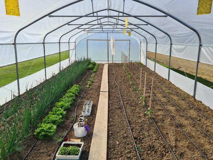 Tunnelkas, KAS, PLANTENKAS, KWALITEIT–B5 m-L tot 60 m, Tuin en Terras, Kassen, Nieuw, Kweekkas, Staal, Folie, Verzenden