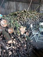 Zomer aanbieding Kachel/haard hout, Tuin en Terras, Haardhout, Minder dan 3 m³, Ophalen, Overige houtsoorten, Blokken
