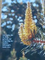 spreuken - een ieder die in hem gelooft, Verzenden, 1980 tot heden, Gelopen, Overige thema's