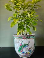 Vintage Chinese bloempot / plantenpot met pauwendecor, Huis en Inrichting, Overige kleuren, Aardewerk of Porselein, Ophalen of Verzenden