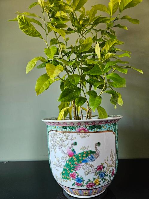 Vintage Chinese bloempot / plantenpot met pauwendecor, Huis en Inrichting, Woonaccessoires | Vazen, Zo goed als nieuw, Overige kleuren