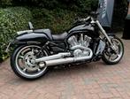 Zeer mooie Harley Davidson V-ROD VROD MUSCLE 1250, ABS, Bedrijf, Meer dan 35 kW, 1250 cc