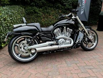 Zeer mooie Harley Davidson V-ROD VROD MUSCLE 1250 beschikbaar voor biedingen