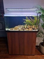 Juwel 110L Aquarium, Cabinet & Twinstar 90B Verlichting, Ophalen, Gebruikt, Leeg aquarium