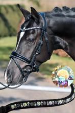 Nieuw! Prachtig du bois hoofdstel Isha, Dieren en Toebehoren, Ophalen of Verzenden, Nieuw, Dressuur