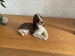 Grote hond Springer Spaniel 25 cm, Ophalen of Verzenden, Zo goed als nieuw, Hond of Kat, Beeldje of Figuurtje