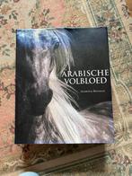 Gabriele Boiselle - Het Arabische Volbloed, Dieren en Toebehoren, Gebruikt, Ophalen of Verzenden