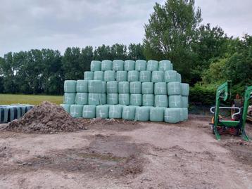 Hooi baaltjes midi rondjes +- 80/120kg beschikbaar voor biedingen