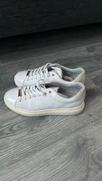 Cruyff damesschoenen maat 36, Wit, Zo goed als nieuw, Cruyff, Sneakers of Gympen