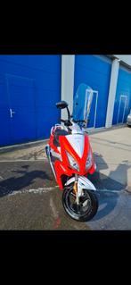 scooter Berini 50 cc geel kenteken, Ophalen, Maximaal 45 km/u, Berini, Zo goed als nieuw