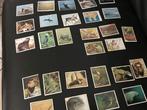 Stickers panini WWF en animals, Verzamelen, Stickers, Ophalen of Verzenden
