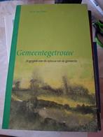 Gemeentetegetrouw - Ds. H. van Ginkel, Boeken, Geschiedenis | Stad en Regio, Ophalen of Verzenden