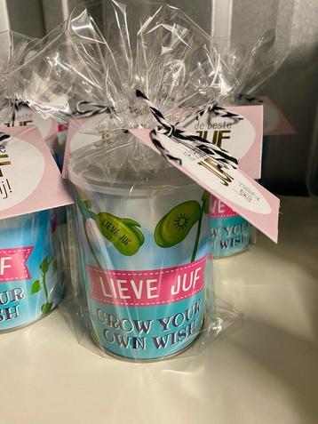Lieve Juf – Grow Your Own Wish Magisch Boontje beschikbaar voor biedingen