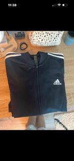Adidas trainingspak, Kleding | Dames, Sportkleding, Maat 38/40 (M), Overige typen, Ophalen of Verzenden, Zo goed als nieuw