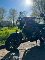Yamaha XSR-700 2019, Motoren, Naked bike, Particulier