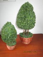 Groene Boompjes met Rieten Mandje 1 met lichtjes, Ophalen of Verzenden, Gebruikt