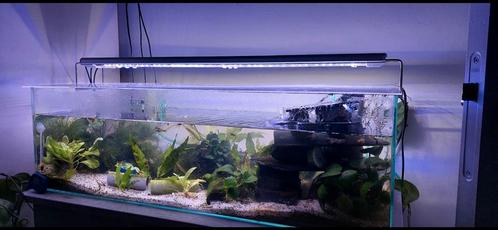 Aquarium laag 80cm, Dieren en Toebehoren, Vissen | Aquaria en Toebehoren, Leeg aquarium, Ophalen