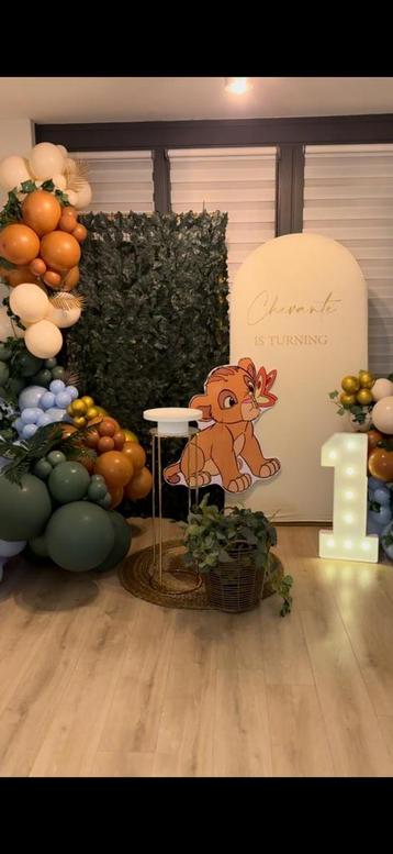 Ballon decoratie beschikbaar voor biedingen