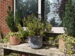 High quality, non-ceramic planter with bee-friendly plants, Tuin en Terras, Bloempotten, Kunststof, Gebruikt, Tuin, Rond
