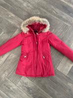 Rode Airforce Winterjas Maat S, Airforce, Ophalen of Verzenden, Zo goed als nieuw, Maat 36 (S)