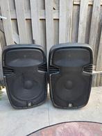 2x SKYTEC - grote draagbare luidspreker, Ophalen of Verzenden, Gebruikt, 120 watt of meer, Overige merken