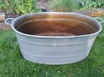 Te koop teil groot, Tuin en Terras, Ophalen, Gebruikt, Overige vormen, 60 tot 100 cm