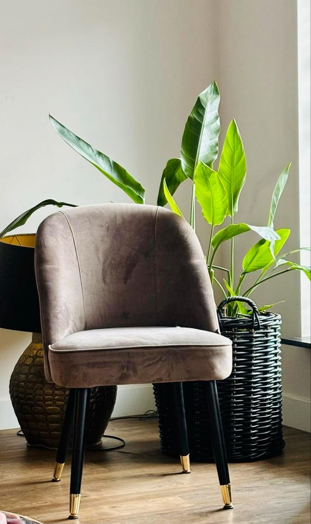 6 Richmond Eetkamerstoelen taupe, Huis en Inrichting, Stoelen, Gebruikt, Vijf, Zes of meer stoelen, Stof, Bruin, Ophalen