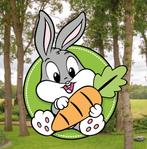 Geboortebord Konijn - te personaliseren met naam, Ophalen of Verzenden, Nieuw, Geboortebord
