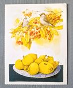 Libelle Marjolein Bastin Ansichtkaart, Verzenden, 1980 tot heden, Ongelopen, Overige thema's